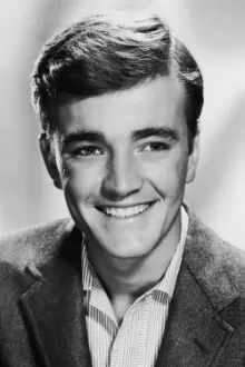 Robert Walker Jr. como: The Wanderer