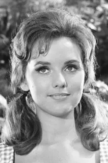 Dawn Wells como: Mary Anne (Narator)