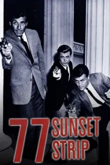 77 Sunset Strip