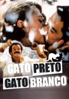 Gata Preta, Gato Branco