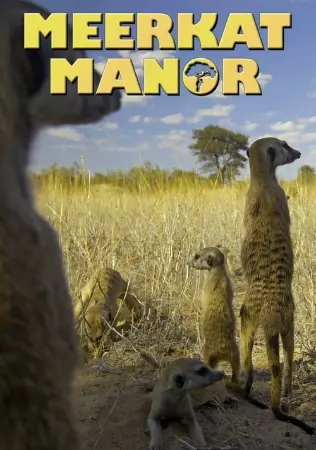 Meerkat Manor