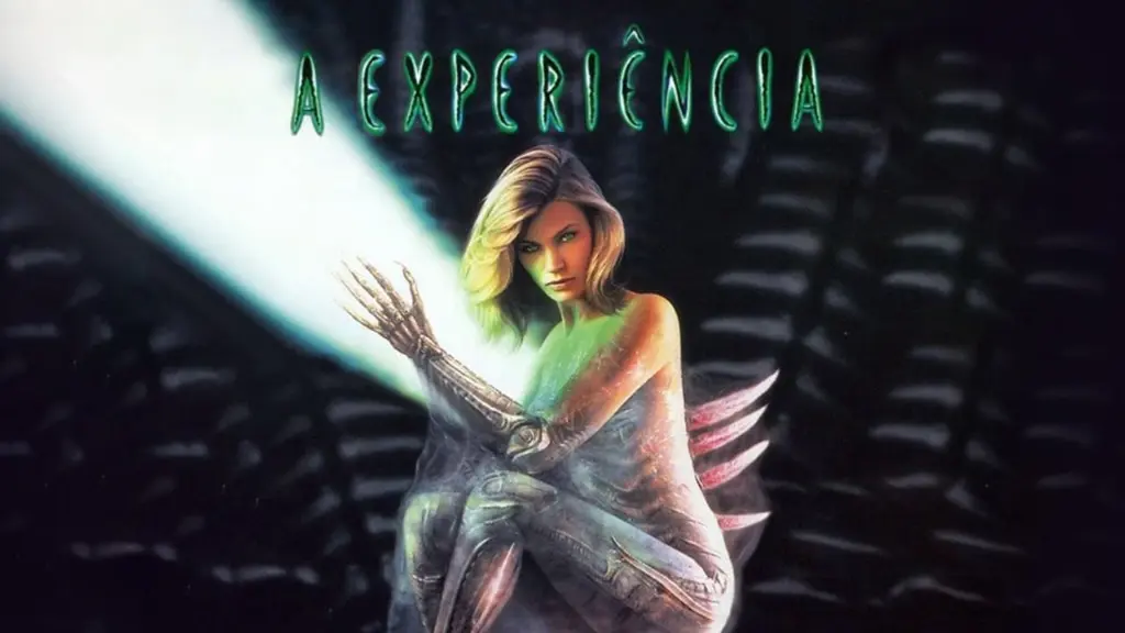 A Experiência