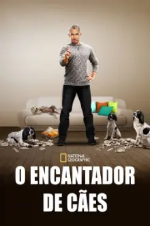 O Encantador de Cães