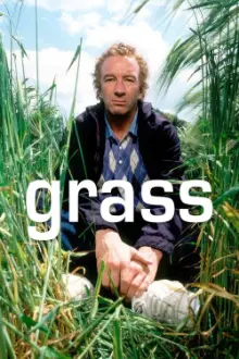 Grass