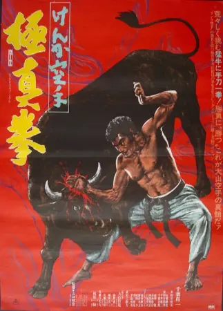 Karate Bullfighter