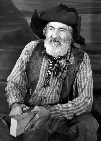 The Gabby Hayes Show