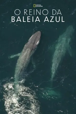 O Reino da Baleia Azul