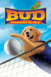 Bud 5: Arrasando no Vôlei!