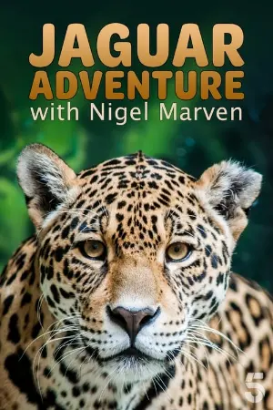 Jaguar Adventure With Nigel Marven