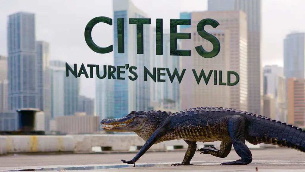 Cities: Nature's New Wild