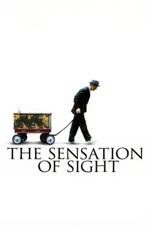 The Sensation of Sight