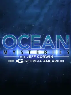 Ocean Mysteries with Jeff Corwin