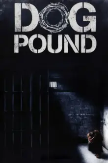 O Canil: Dog Pound