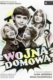 Wojna domowa