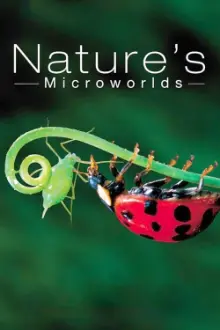 Nature's Microworlds