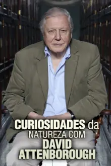 Curiosidades da Natureza com David Attenborough