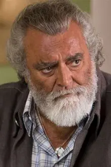 Diego Abatantuono como: Franco Montagner