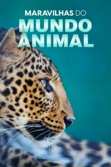 Maravilhas do Mundo Animal