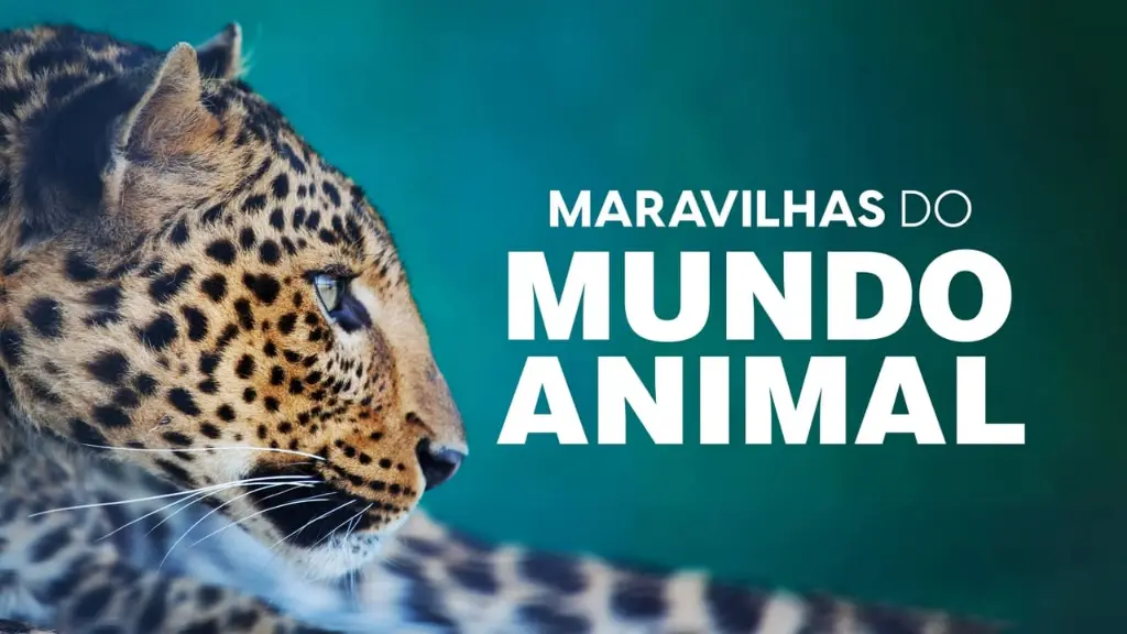 Maravilhas do Mundo Animal