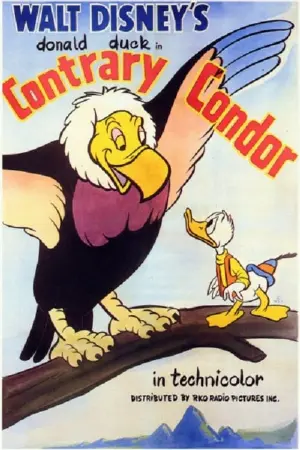 Contrary Condor