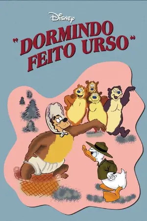 Dormindo Feito Urso