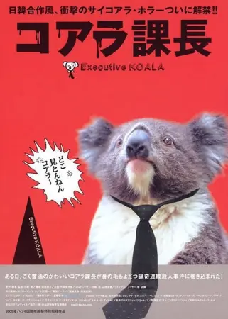 Executive Koala