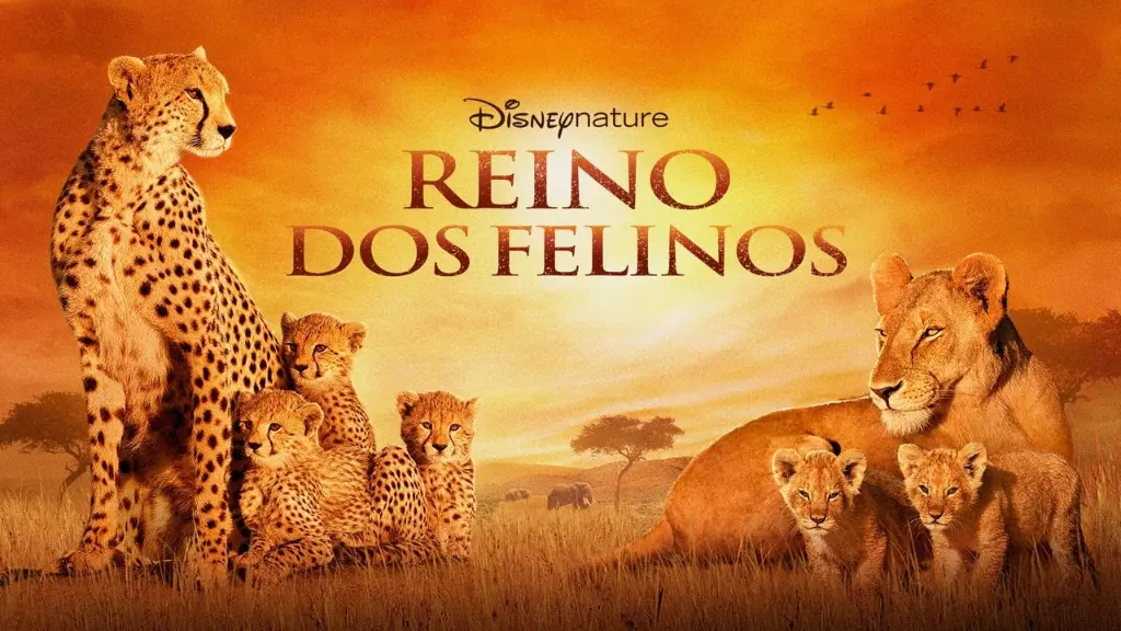 Reino dos Felinos