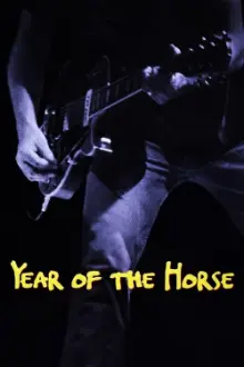 Year of the Horse