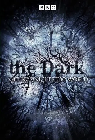 The Dark: Nature's Nighttime World