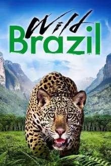 Wild Brazil