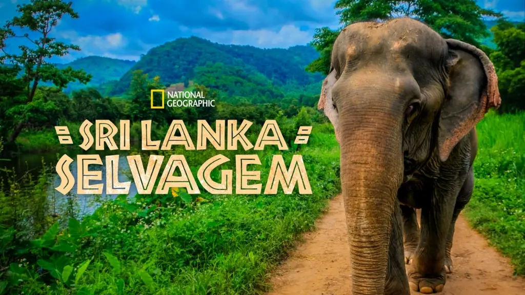 Sri Lanka Selvagem