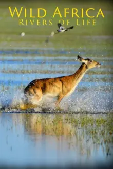 Wild Africa: Rivers of Life