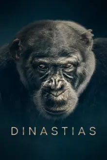 Dinastias