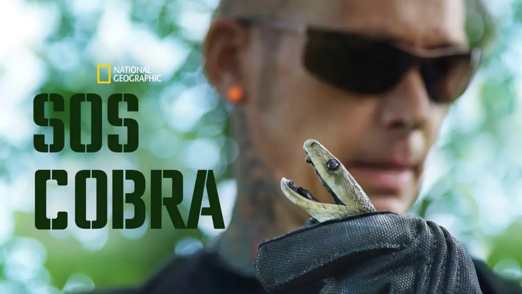 SOS Cobra