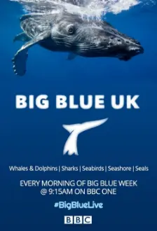 Big Blue UK