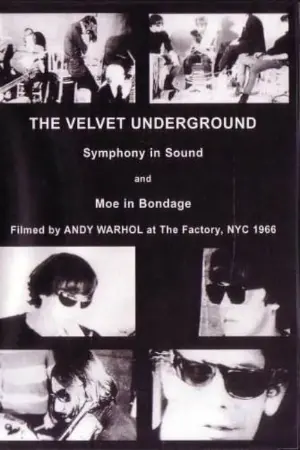 The Velvet Underground and Nico: A Symphony of Sound