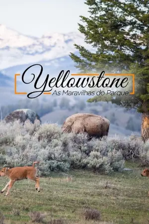 Yellowstone - As Maravilhas do Parque