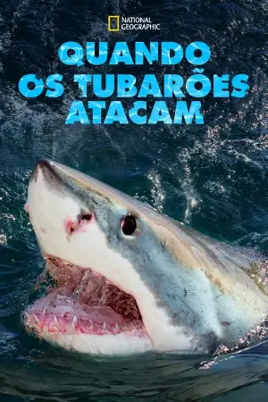 Quando os Tubarões Atacam