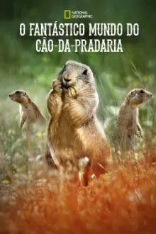 O Fantástico Mundo do Cão-da-Pradaria