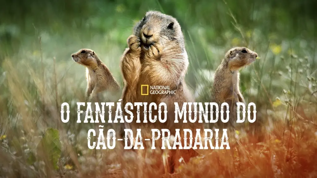 O Fantástico Mundo do Cão-da-Pradaria