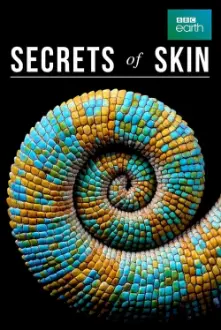 Secrets of Skin