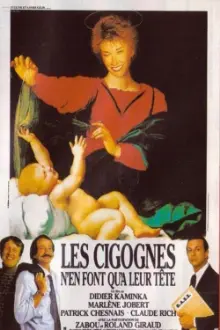 Les cigognes n'en font qu'à leur tête