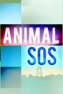 Animal SOS