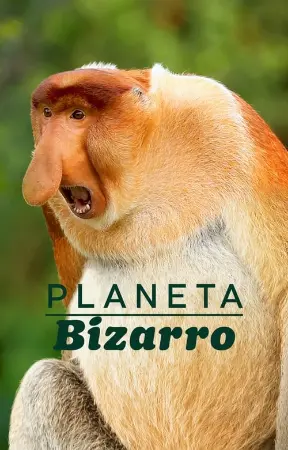 Planeta Bizarro