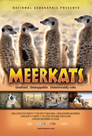 Meerkats 3D