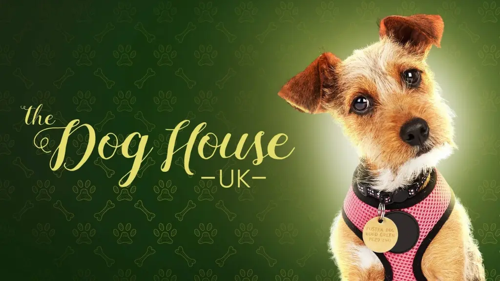 The Dog House: Lar Perfeito