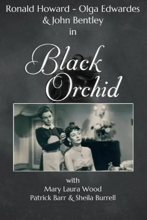 Black Orchid