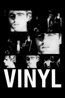 Vinil