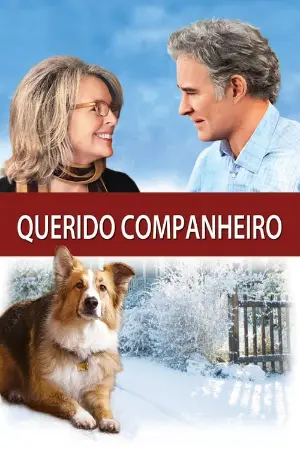 Querido Companheiro