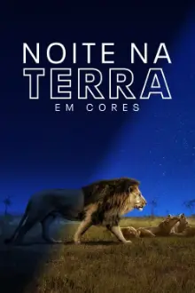 Noite na Terra em Cores